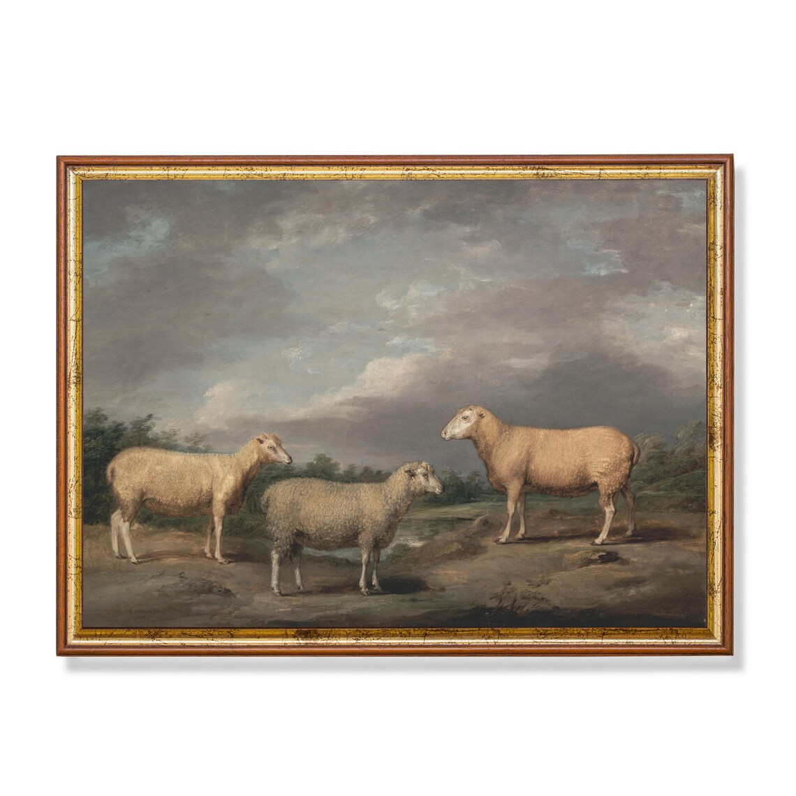 Three Sheep in Moody Landscape Vintage Farm Animal Painting Poster