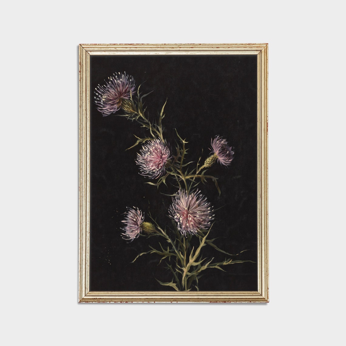 Moody Botanical Thistle Flower Painting on a Black Background Poster - Image 3