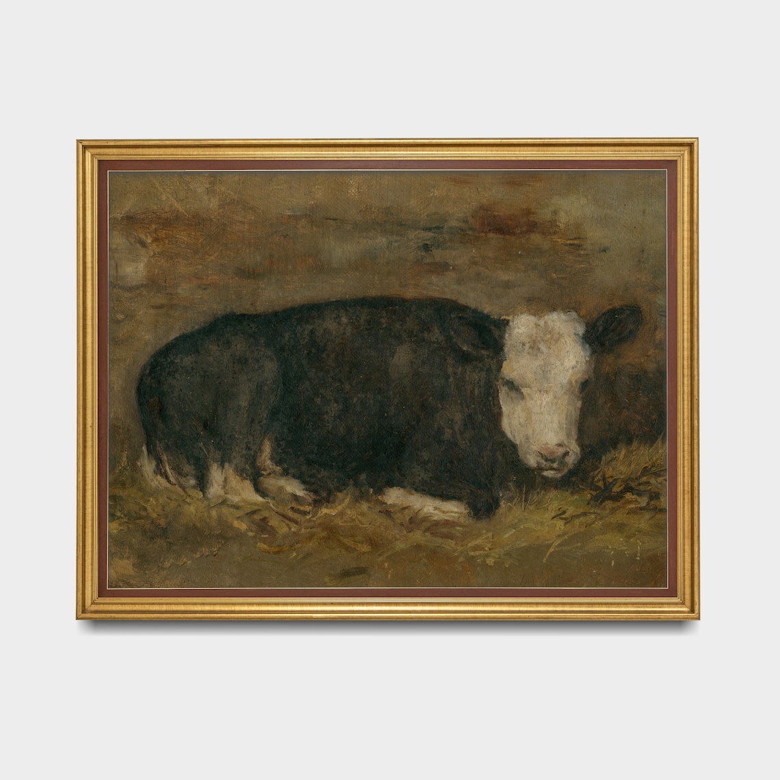 Black and White Calf Resting in Straw Vintage Farm Animal Poster - Image 3