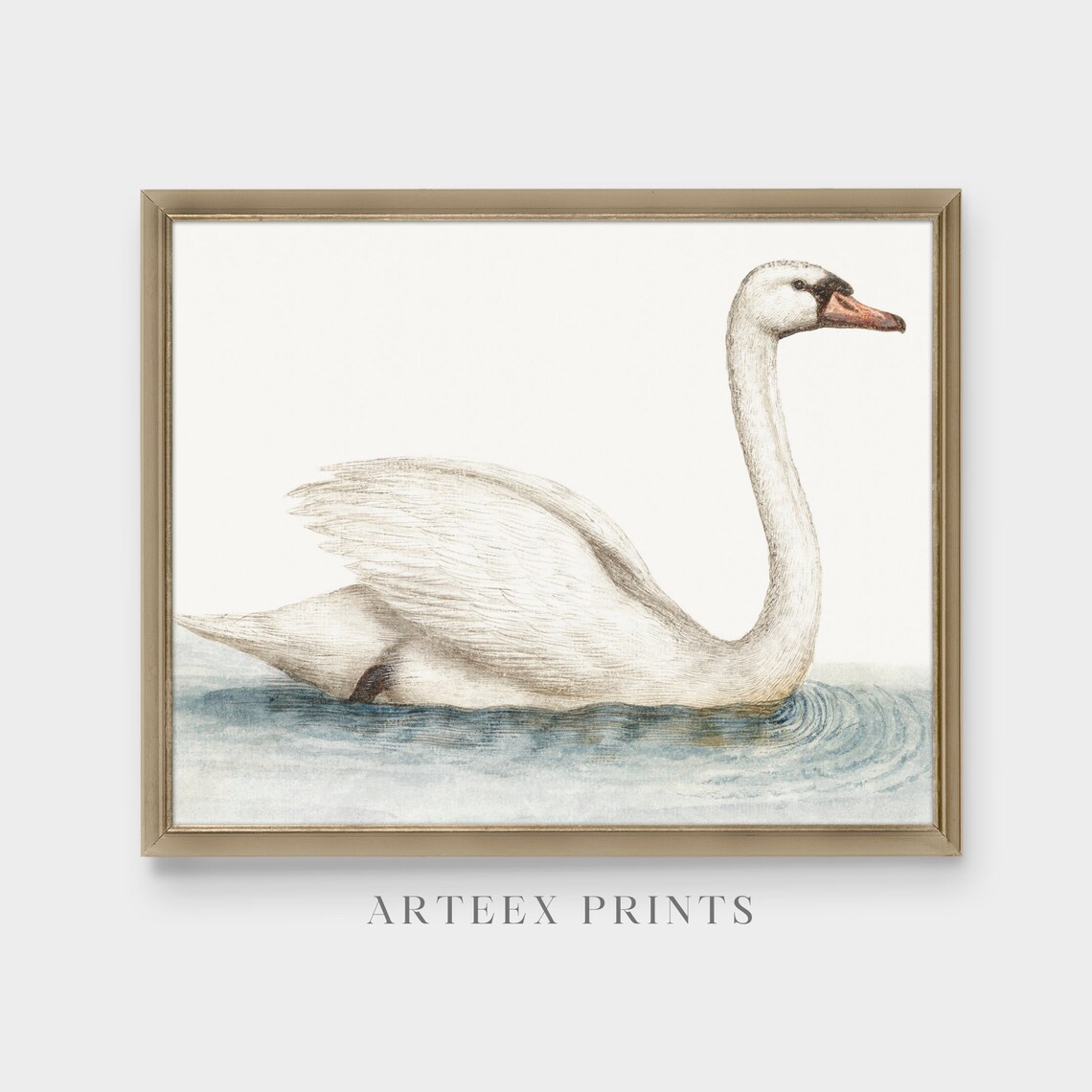 Vintage Swan Painting, Neutral Farmhouse Art Print - Image 3