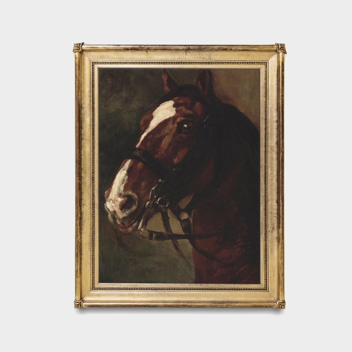 Chestnut Horse Head With White Blaze On Dark Ground Equestrian Poster - Image 4