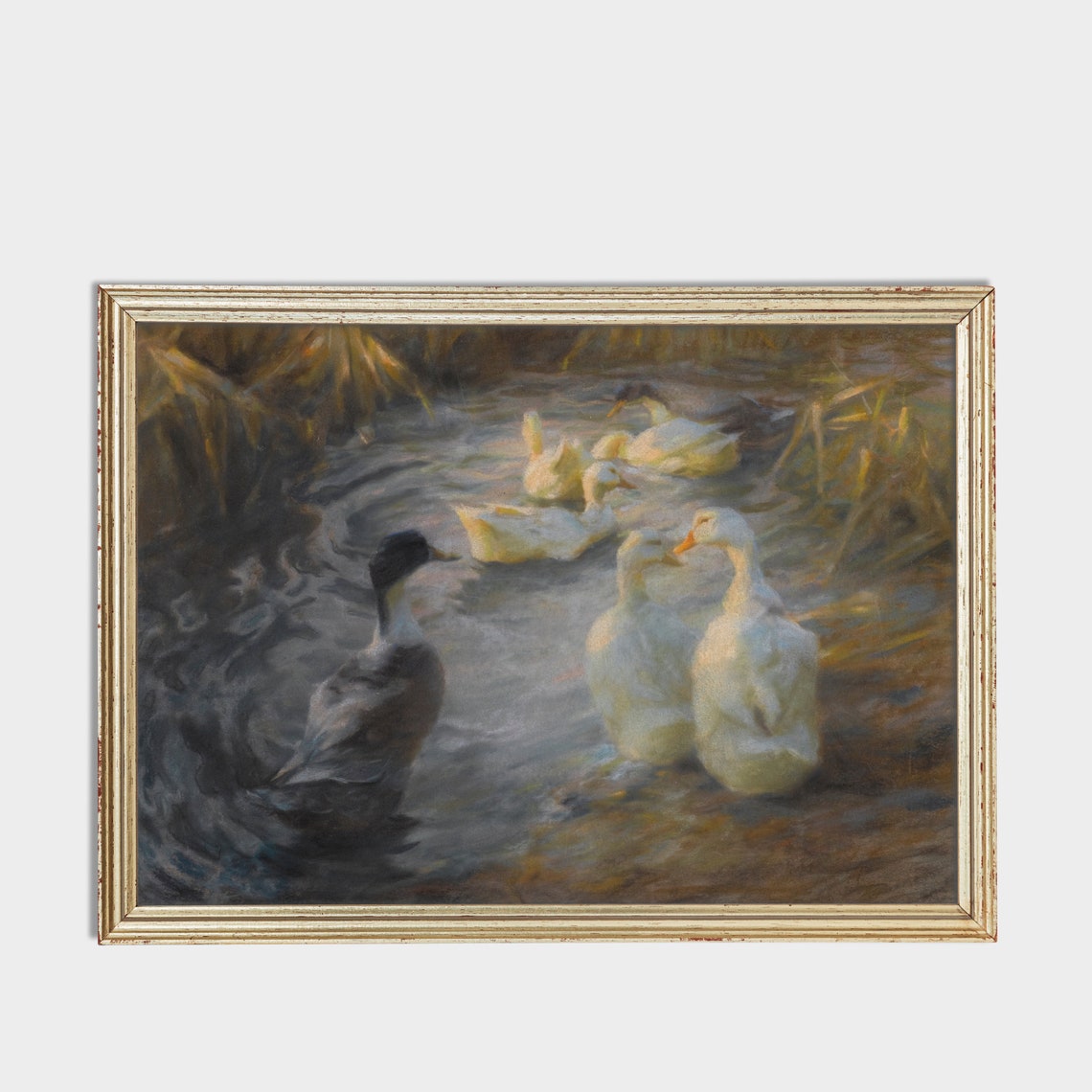 White Ducks and Mallard Swimming in a Reedy Pond Vintage Poster - Image 3