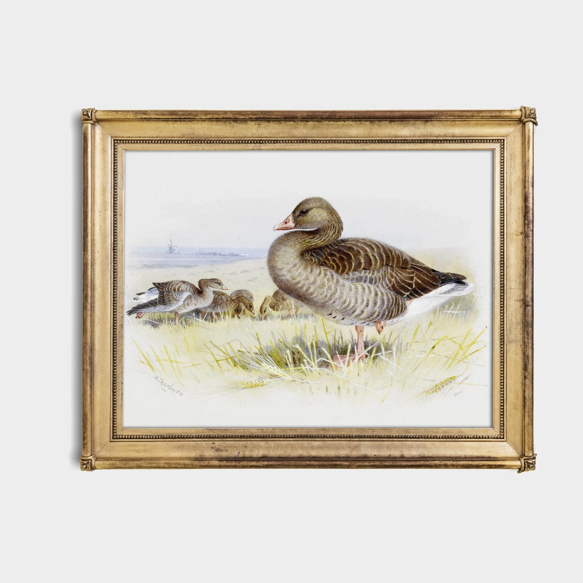 Goose With Goslings Grazing In A Green Field Vintage Bird Poster - Image 4