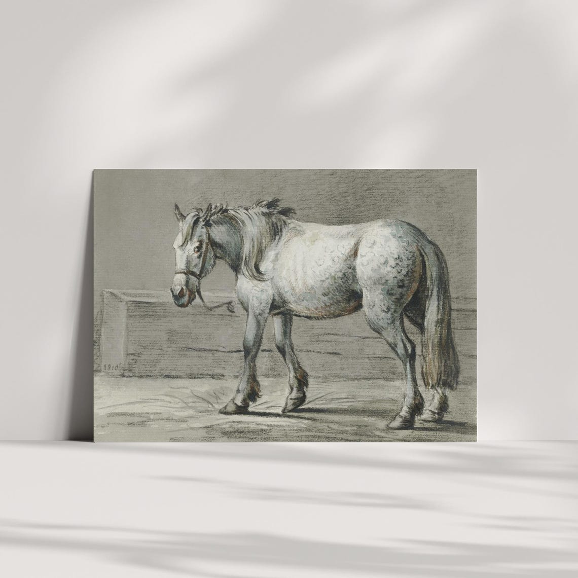 Antique Dapple Grey Horse Sketch Dated 1810 Equestrian Drawing Poster - Image 2