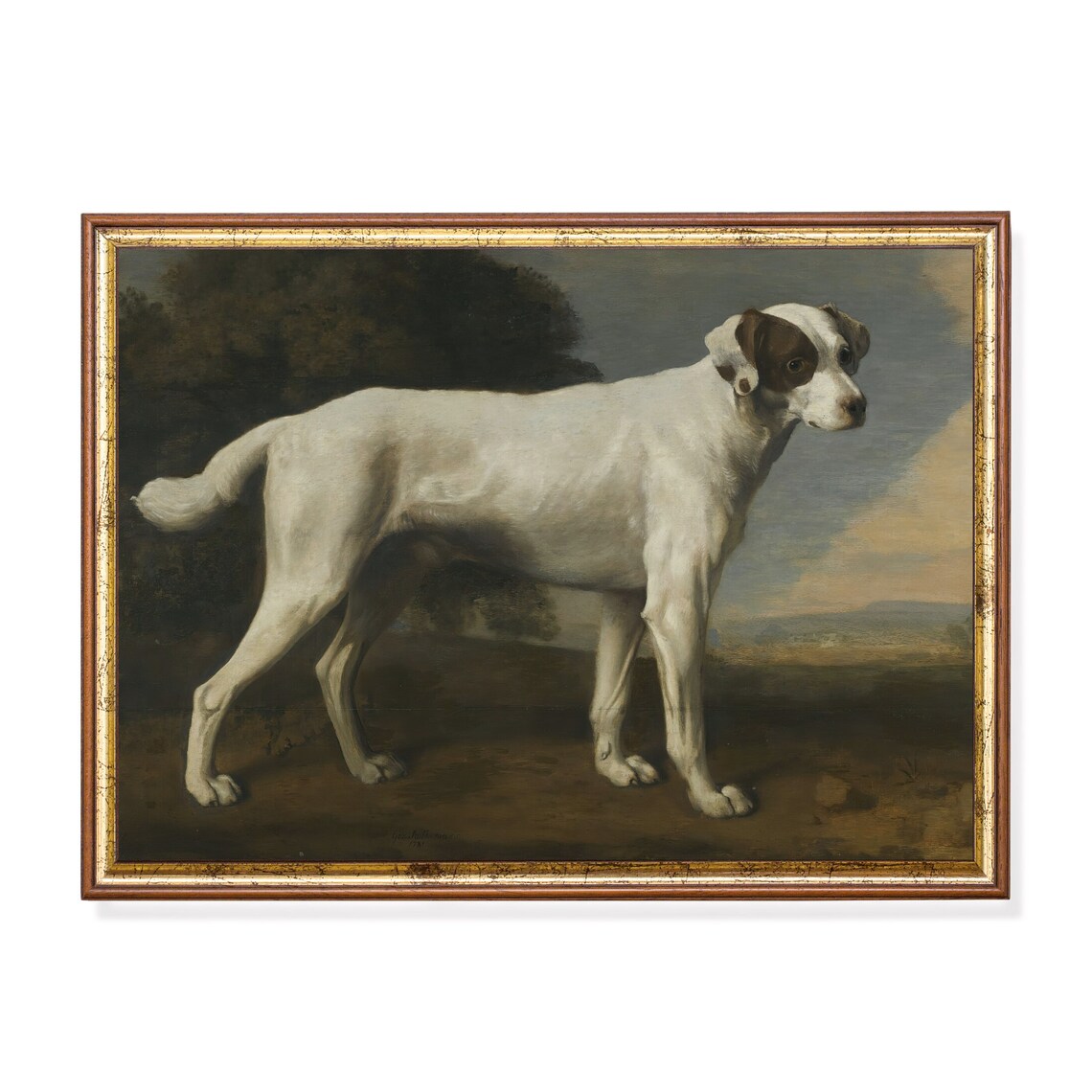 White And Tan Hound Standing Portrait Vintage Dog Oil Painting Poster