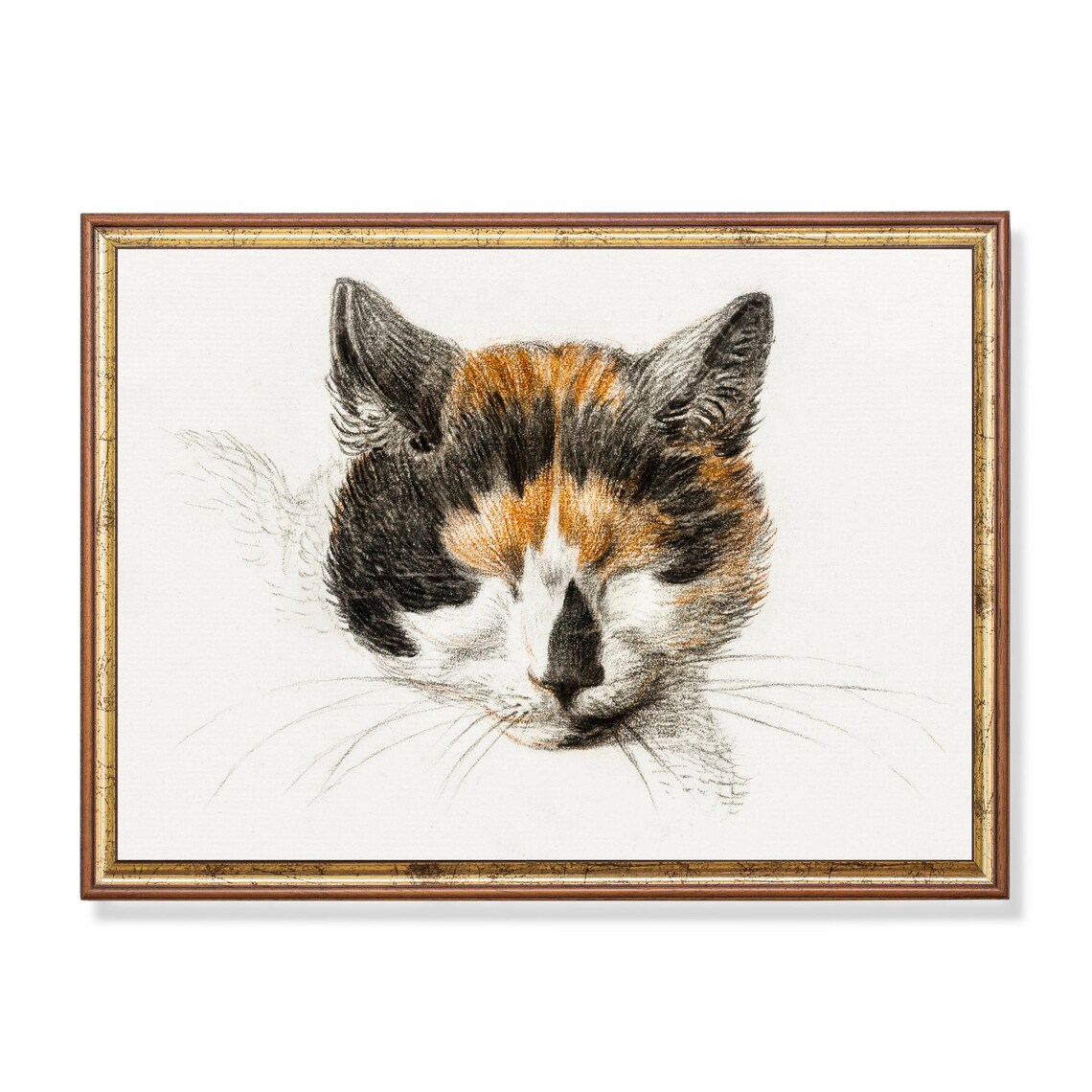 Calico Cat Face Close-Up Vintage Charcoal Drawing Art Poster