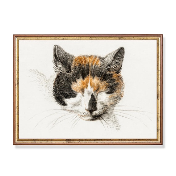 Calico Cat Face Close-Up Vintage Charcoal Drawing Art Poster