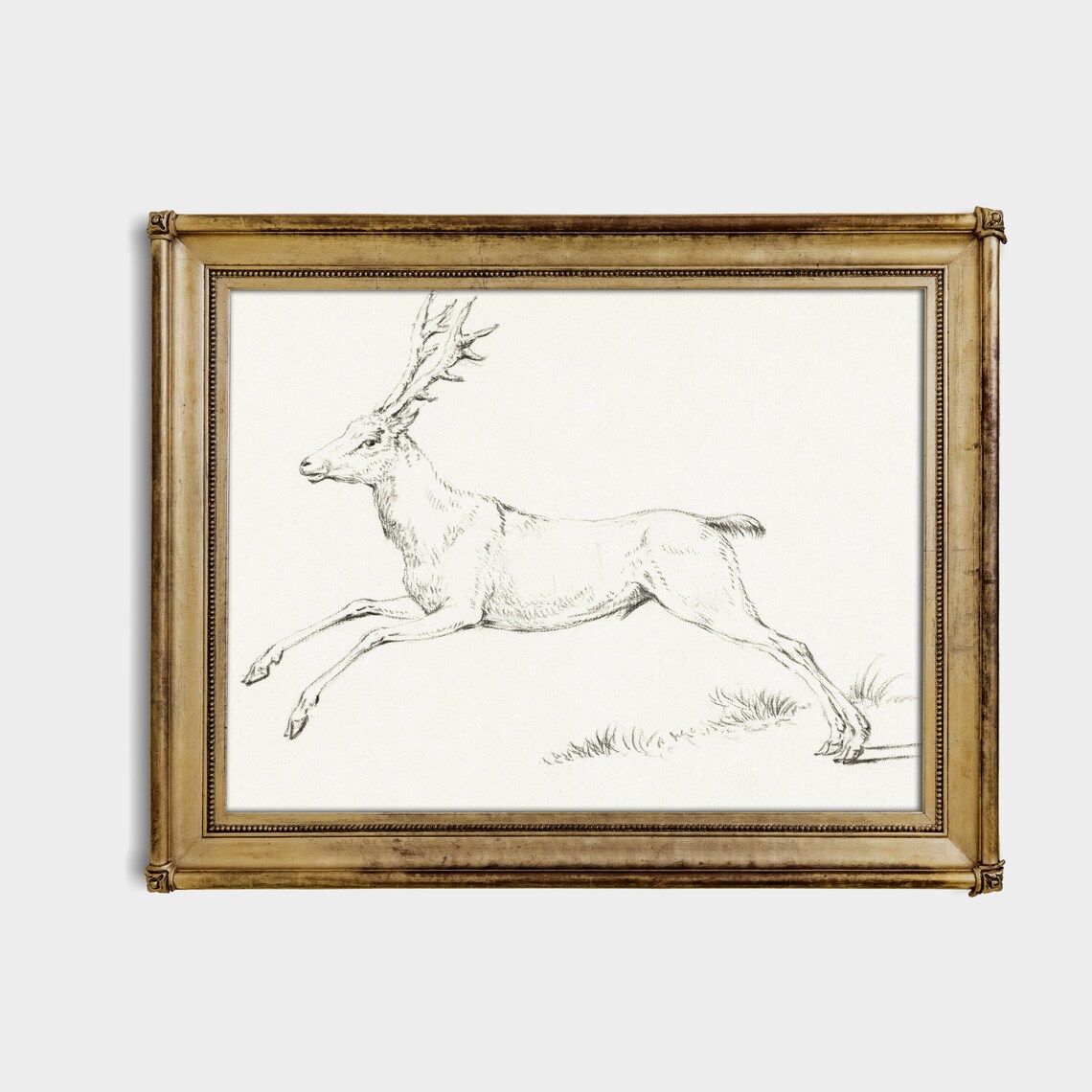 Leaping Stag with Grand Antlers Vintage Ink Sketch Wildlife Drawing Print - Image 3
