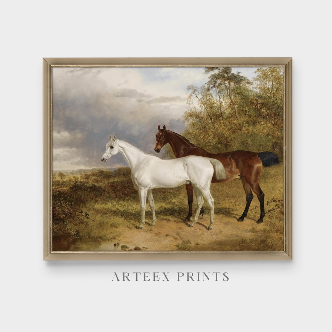 Antique Grey and Chestnut Horses by a Woodland Stream Poster - Image 3