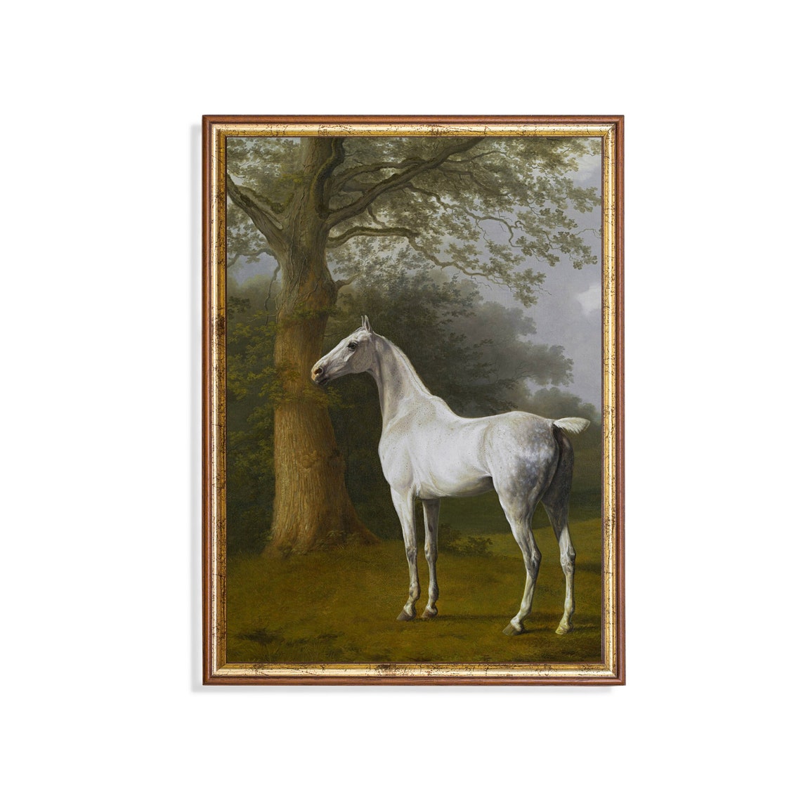 Grey Horse Standing in a Wooded Grove Vintage Equestrian Poster