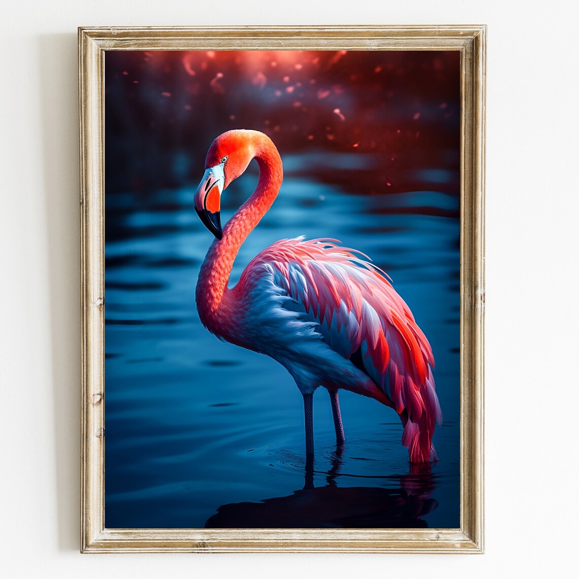 Pink Flamingo Wading Blue Water Sunset Bird Portrait Art Poster