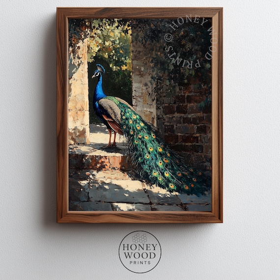 Peacock Art Vintage Moody Painting Classic Elegant Decor Regal Bird With Iridescent Tail Sunlit Archway 251