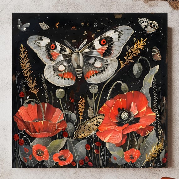 Moths And Poppies, Cottagecore Vintage Botanical Art Print
