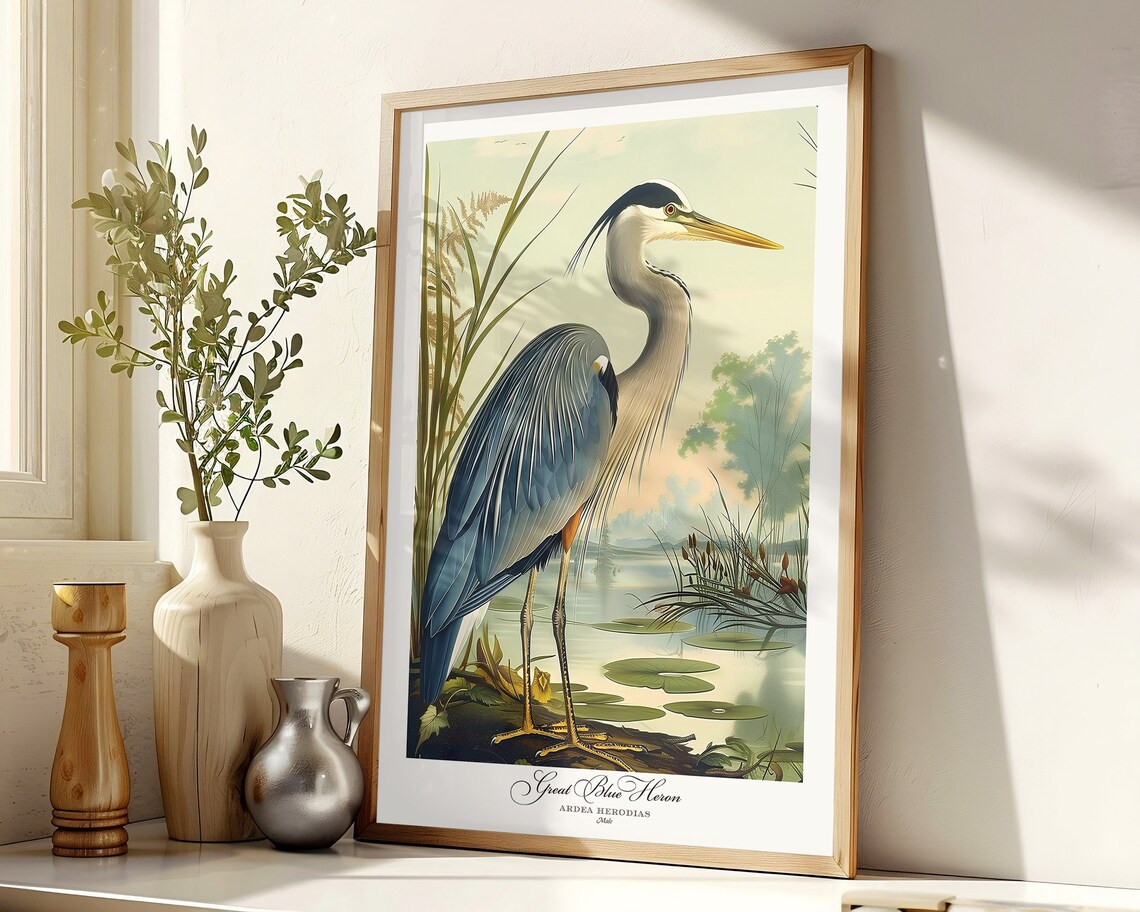 Great Blue Heron Audubon-Style Bird Print, Vintage - Image 4