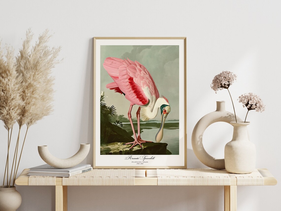 Roseate Spoonbill Vintage Bird Print, Audubon Style - Image 4
