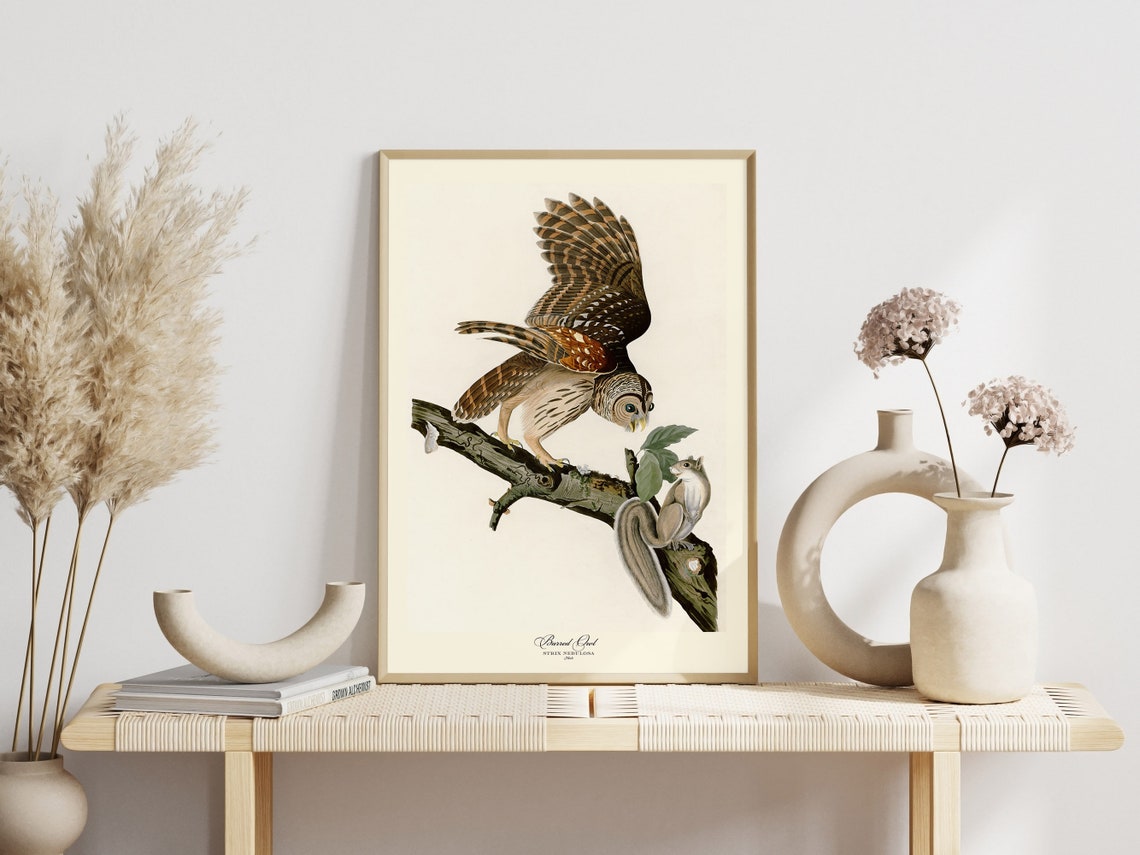 Barred Owl With Squirrel Vintage Audubon Bird Engraving Poster - Image 4