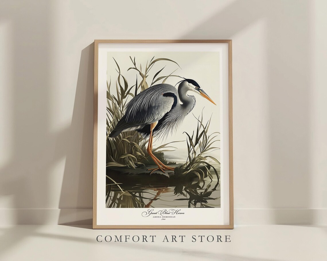 Audubon-Style Great Blue Heron Art Print, Vintage - Image 4
