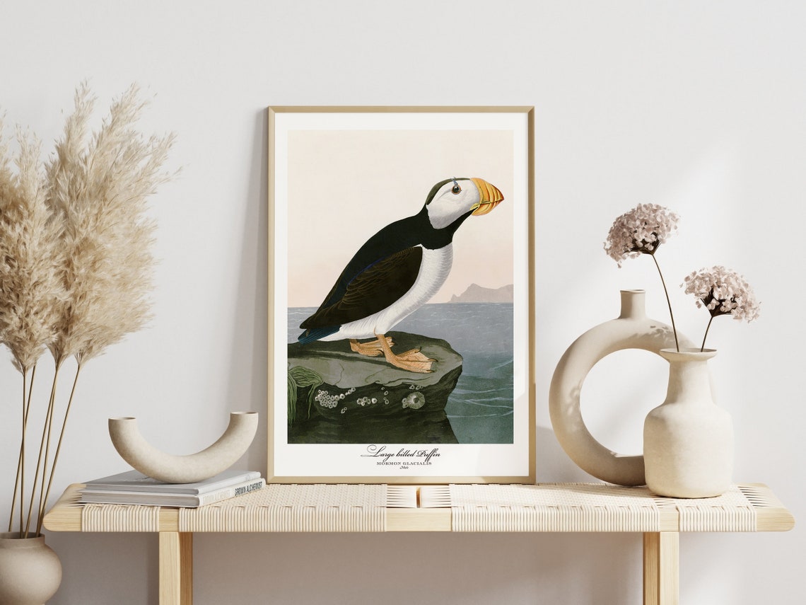 Large Billed Puffin Audubon Style Vintage Seabird Coastal Wall Art - Image 3