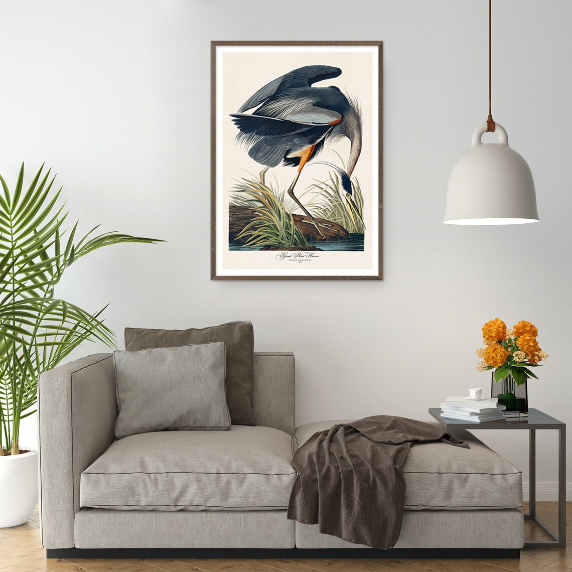 Audubon White Heron Vintage Retro Art Print Set - Image 5