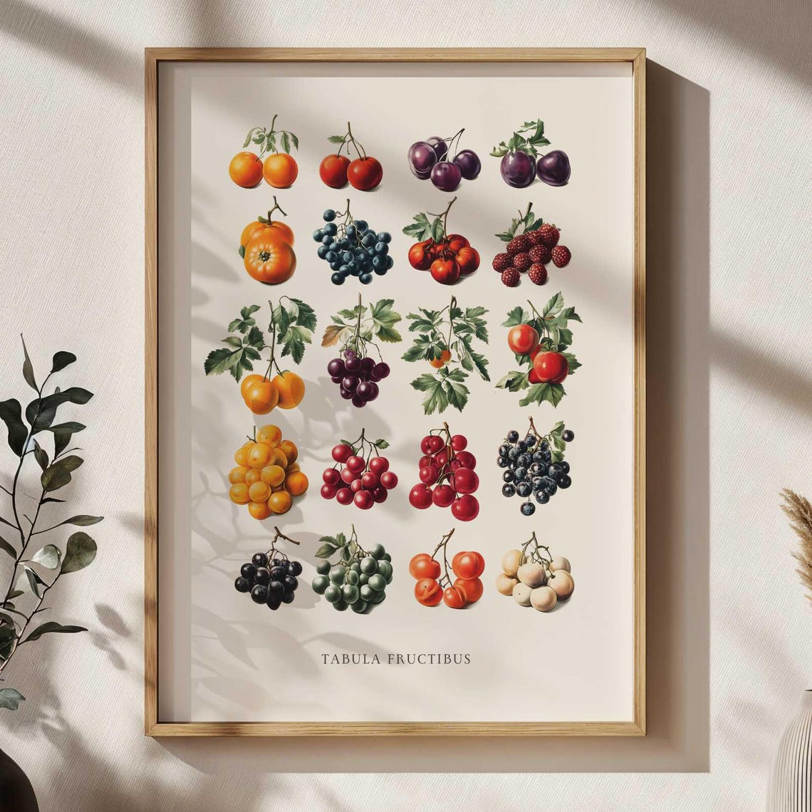 Vintage Botanical Fruit Chart Tabula Fructibus Classic Kitchen Poster