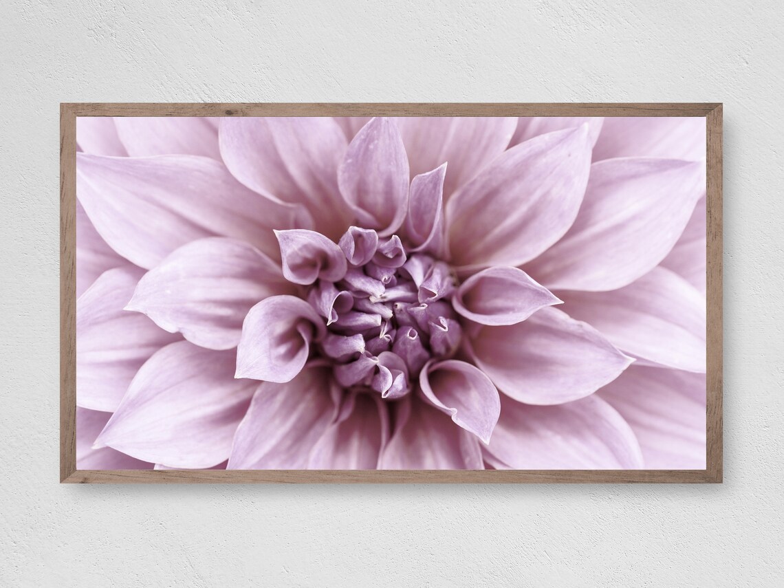 Instant Blooming Dahlia Abstract Wall Art Print