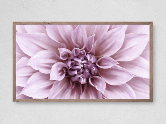 Instant Blooming Dahlia Abstract Wall Art Print