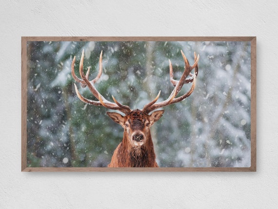 Winter Reindeer Christmas Art Print, Seasonal Decor