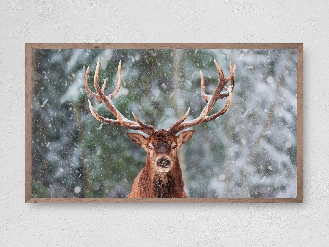 Winter Reindeer Christmas Art Print, Seasonal Decor