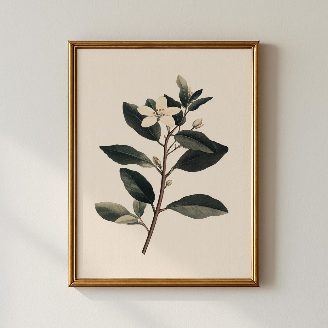 White Blossom Botanical Branch Vintage Style Floral Art Print