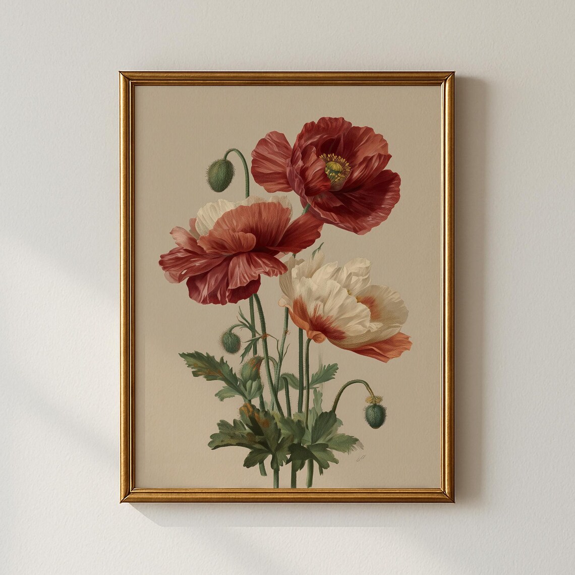 Red White Spring Poppies Vintage Botanical Floral Study Poster