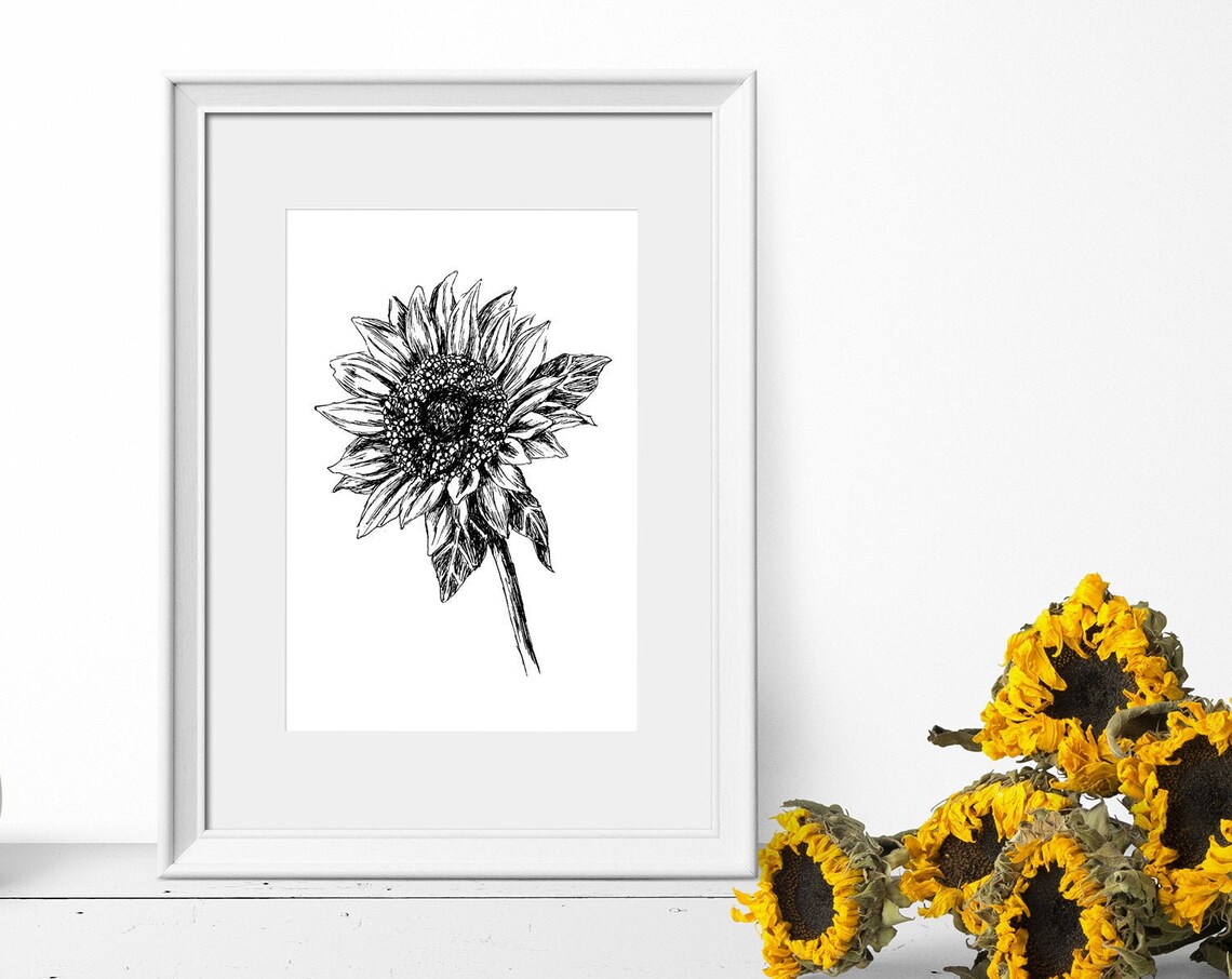 Sunflower Black And White Floral Line Art Botanical Wall Art