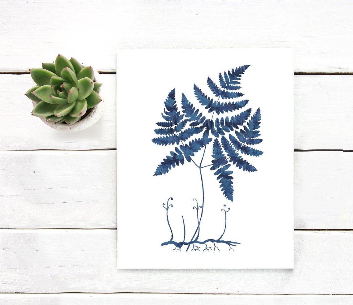 Indigo Blue Fern Roots Botanical Watercolor Minimalist Poster
