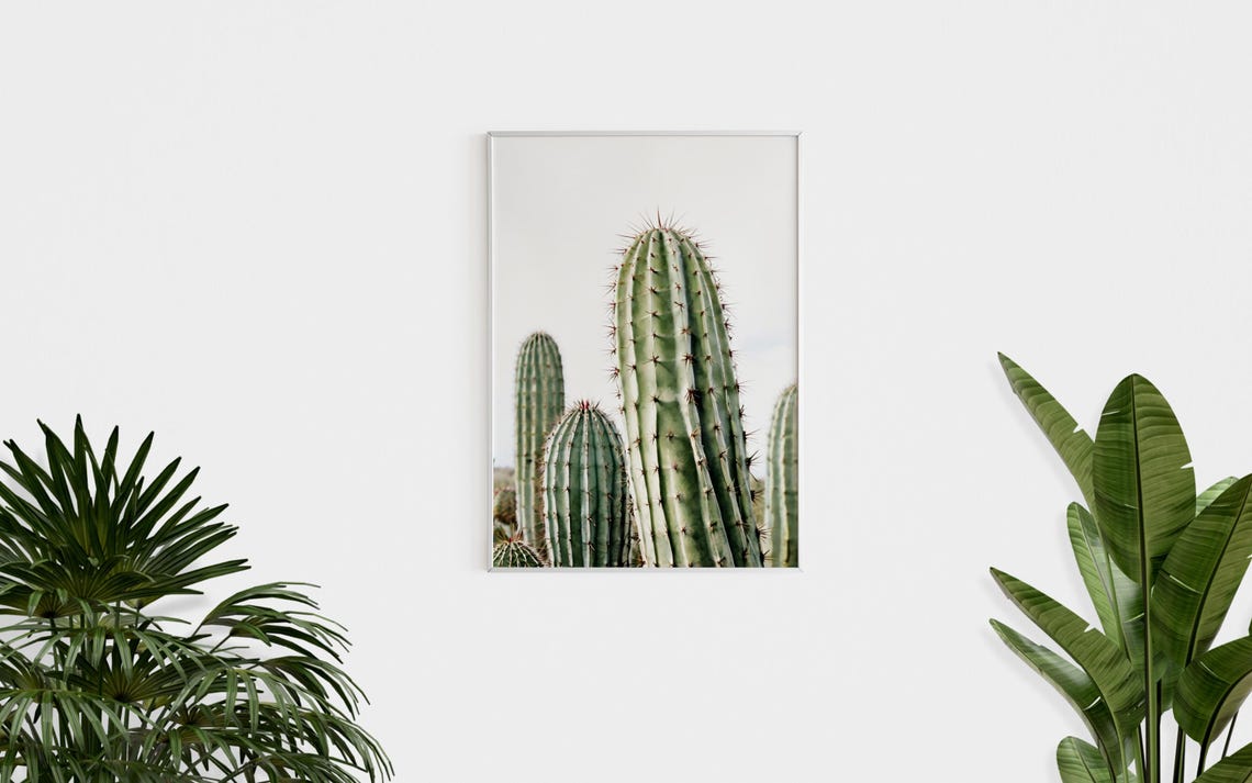 Tall Columnar Cactus Green Spines Minimalist Desert Photo Poster - Image 2