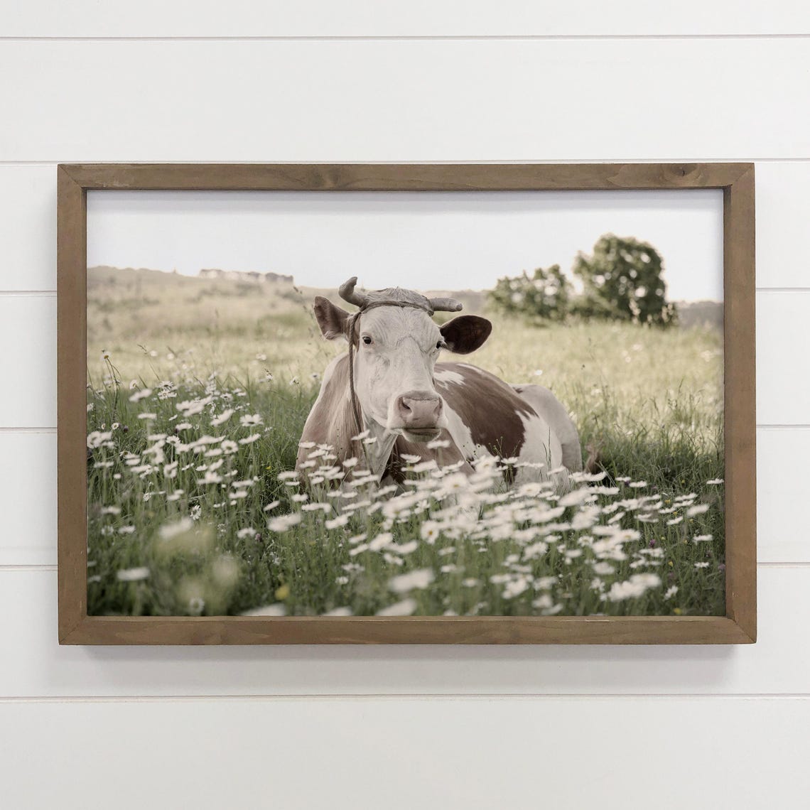 Cow In Daisies, Farmhouse Art Print