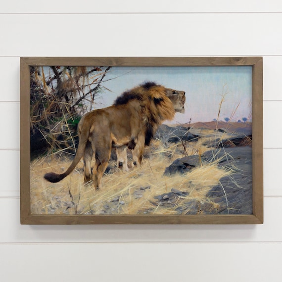 Vintage Lion Painting Printed And Framed Roaring Wildlife Canvas Art Wood
