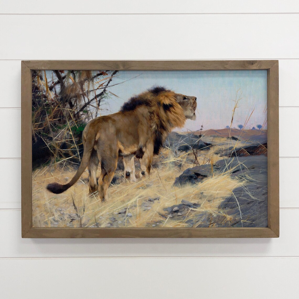 Roaring Lion Savanna Vintage Wildlife Oil Painting Majestic Poster