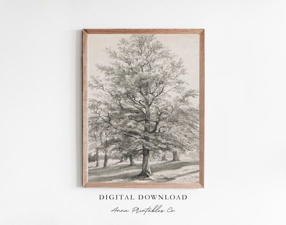 Tree Painting Antique Black And White Tree Painting For Vintage Oak Drawing Wall Art Fine Art Print Decor