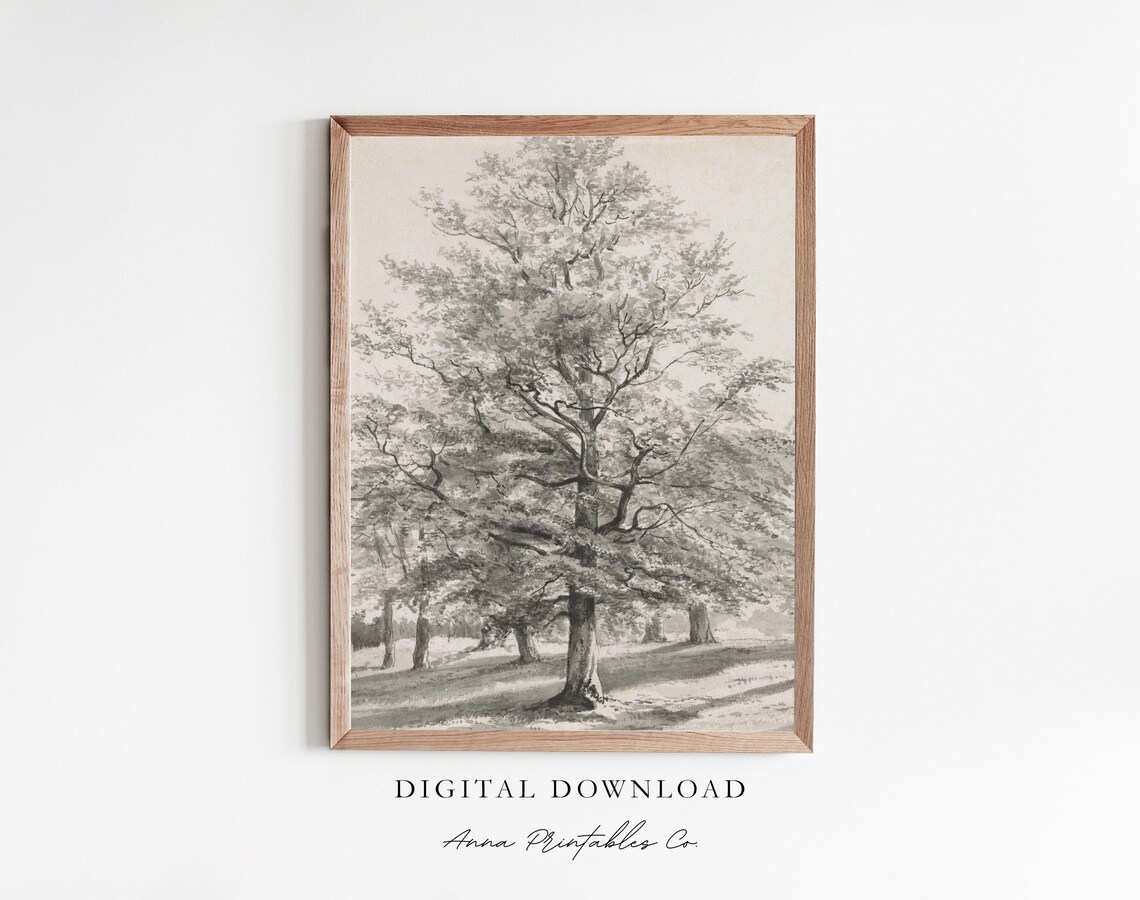 Majestic Tree Antique Black And White Sketch Painting Poster