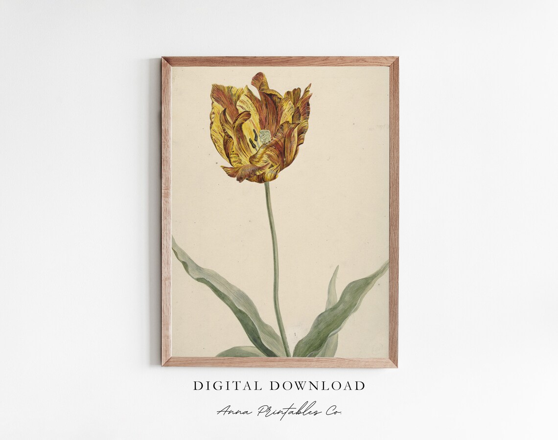 Golden Vintage Tulip Botanical Illustration Antique Flower Poster