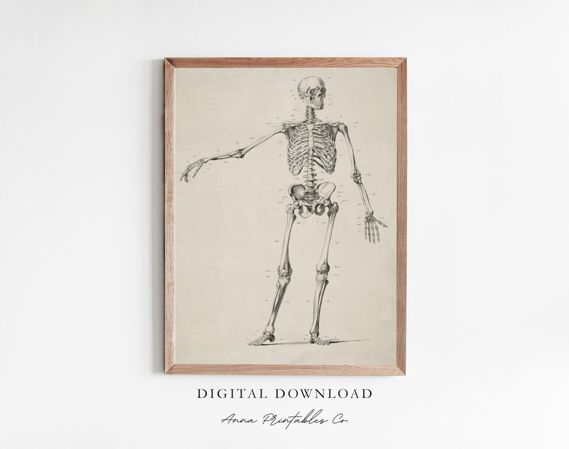 Vintage Skeleton Anatomy Diagram Art Print, Gothic Decor