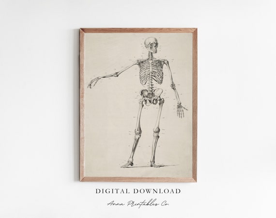 Vintage Skeleton Anatomy Diagram Art Print, Gothic Decor