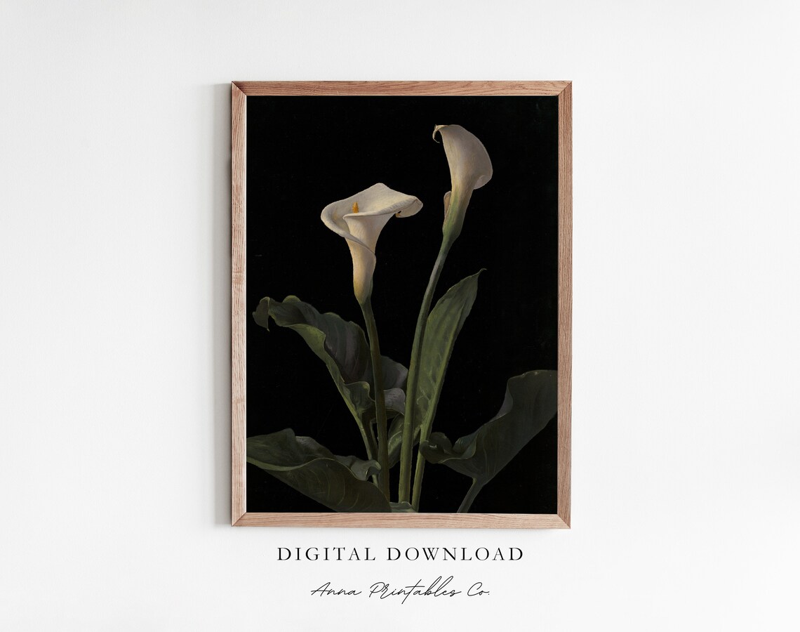 Calla Lily Vintage Oil Painting Art Print