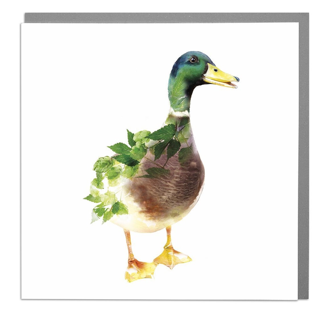 Mallard Duck Blank Greeting Card