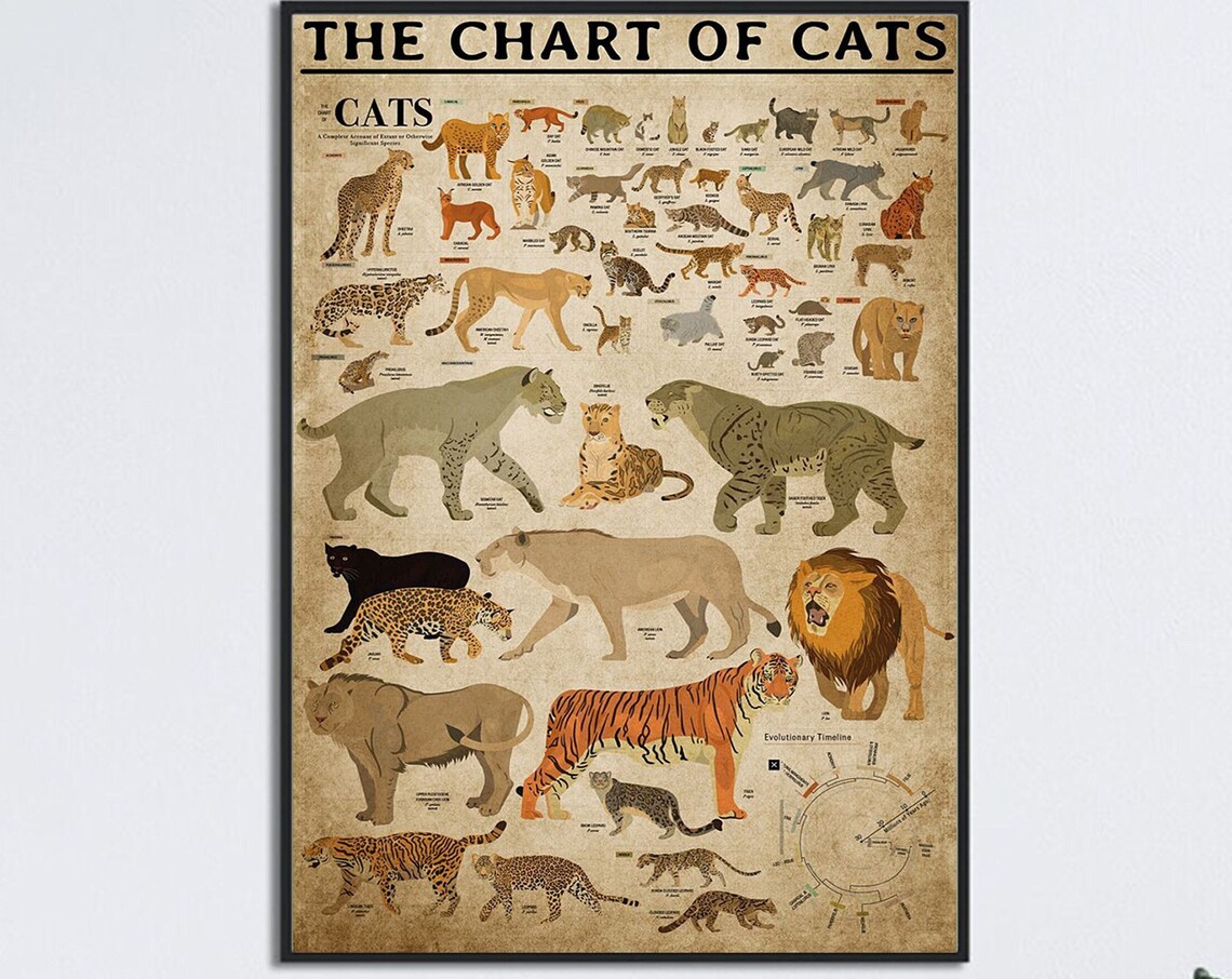 Chart Of Cats, Cat Breeds Wall Chart Art Print