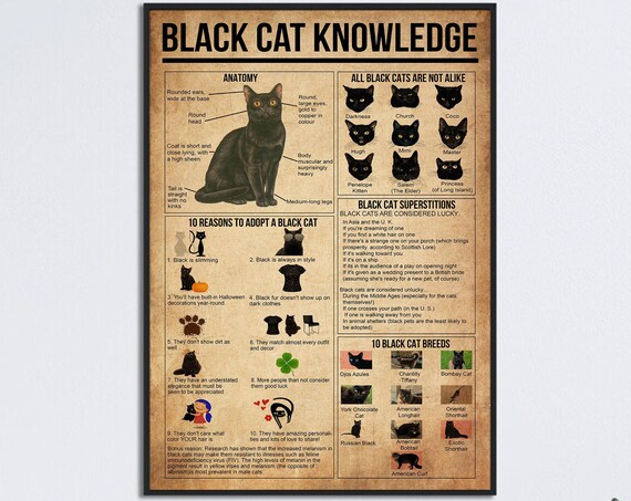 Black Cat Knowledge Anatomy Adoption Reasons Vintage Chart Poster