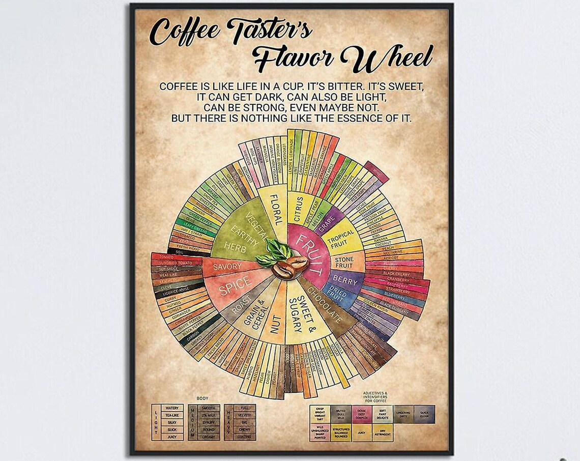 Coffee Tasters Flavor Wheel, Coffee Knowledge Poster