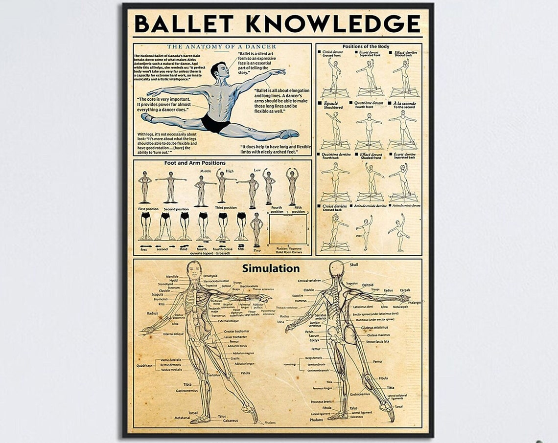 Ballet Knowledge Anatomy Of A Dancer Positions Chart Reference Poster