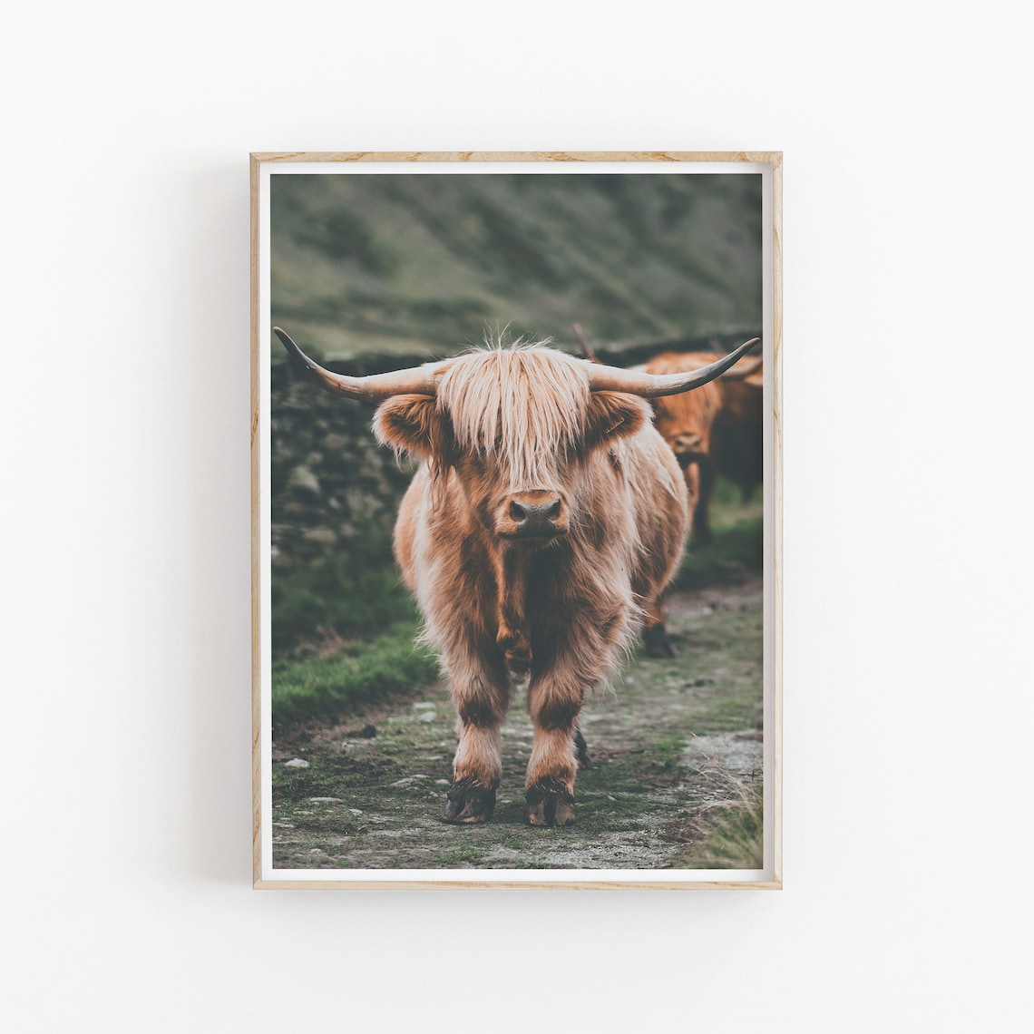 Highland Cow Art Print, Modern Minimalist Poster - Image 2
