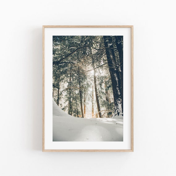 Winter Wonderland Snowy Trees Christmas Art Print