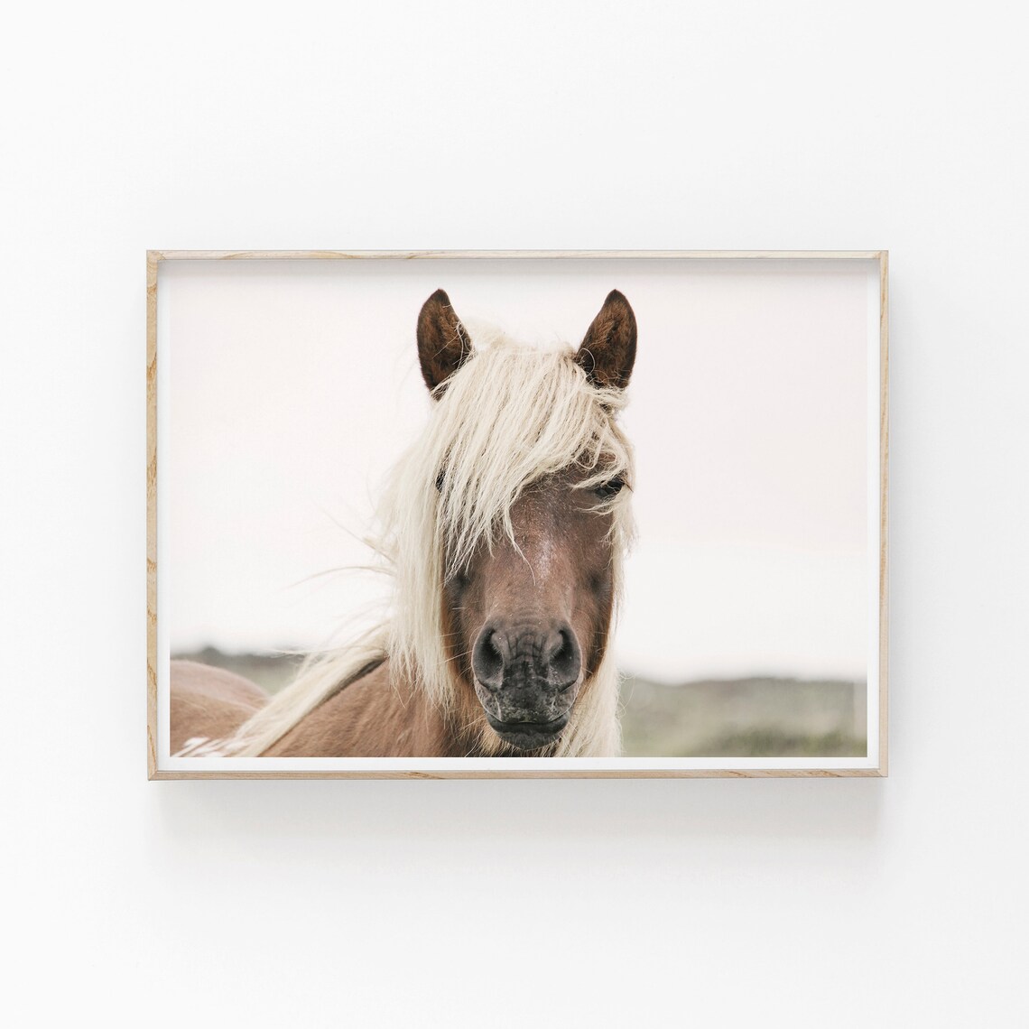 Horse Photography Minimalist Art Print, Modern Decor - Image 2